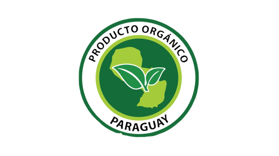 py Logo01Marca (1)